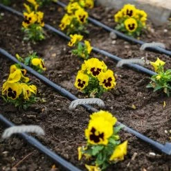 Relaxdays Lot De 8 Ancres De Terre, Sardines De Sol Pour Toiles, Tentes, Forme En U, Solide, Acier Zingué, 41 X 8 X 1 Cm -Tente de réception Soldes 19708866 3