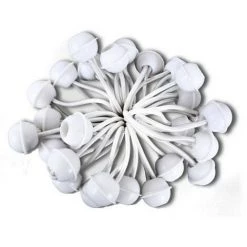 INTENT24.FR 50 Tendeurs De Bâche élastiques Courts Blancs - Blanc