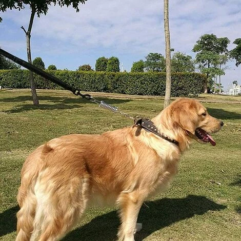 ECHOO 5pcs Tendeur De Ressort En Acier Inoxydable, Haute Résistance Camping Auvent Tente Corde Pour La Randonnée Camping Pêche Pique-Nique Voyager 6 ECHOO 5pcs Tendeur De Ressort En Acier Inoxydable, Haute Résistance Camping Auvent Tente Corde Pour La Randonnée Camping Pêche Pique-Nique Voyager – Image 4