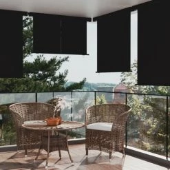 ASUPERMALL Auvent Latéral De Balcon 160x250 Cm Noir