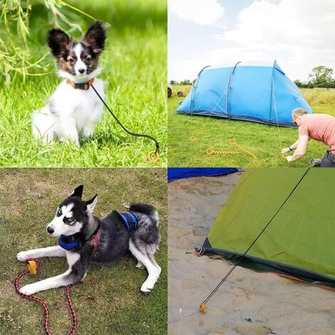 REGALI 8 Pièces Piquets De Tente Piquets Métalliques Robustes Piquets D'ancrage Au Sol Piquet Toile De Tente Peg Sardine Tente Pour Pelouse Plage Camping 7 REGALI 8 Pièces Piquets De Tente Piquets Métalliques Robustes Piquets D'ancrage Au Sol Piquet Toile De Tente Peg Sardine Tente Pour Pelouse Plage Camping - Image 5