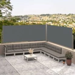 VidaXL Auvent Latéral Rétractable Anthracite 117x600 Cm - Anthracite