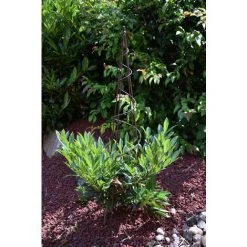 Louis Moulin Tipis Spirale Fer Vieilli - 20x100 Cm - Acier époxy 7 Louis Moulin Tipis Spirale Fer Vieilli - 20x100 Cm - Acier époxy -Tente de réception Soldes 61063915 3