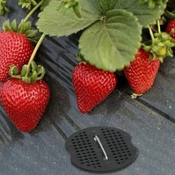 QERSTA 40 Pcs Piquets De Jardin, Sardine Bache Avec 40 Rondelles, Piquets De Fixation Pour Bàche Toile Paillage, Tissu De Mauvaises Herbes, Feuilles De Sol Tente 15*4cm -Tente de réception Soldes 67645866 2