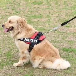 ENLENK Tente Ressort Boucle 8 Pièces Tendeur Ressort En Acier Inoxydable Haute Résistance Ressort Boucle Corde Tente Pour Le Camping En Plein Air Randonnée Voyage Pique Nique Tente De Plage Auvent. -Tente de réception Soldes 67677736 5