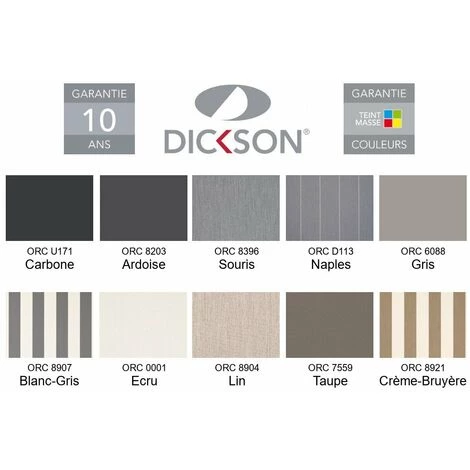 ICI STORE STORE BANNE COFFRE INTEGRAL MOTORISE RAL BLANC 3,6 X 3 DICKSON® GRIS - GRIS 7 ICI STORE STORE BANNE COFFRE INTEGRAL MOTORISE RAL BLANC 3,6 X 3 DICKSON® GRIS - GRIS - Image 5